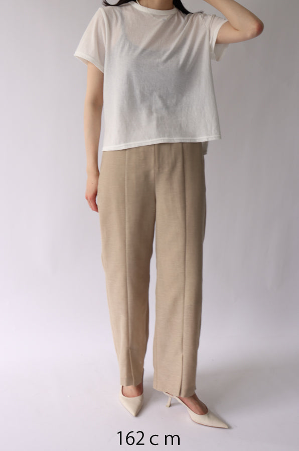 ACUTA アクータ】【ACUTA】シアーシャイニーTシャツ 30代